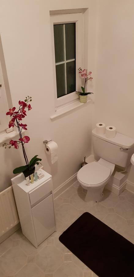 더블린 Silver Eagle B&B 외부 사진